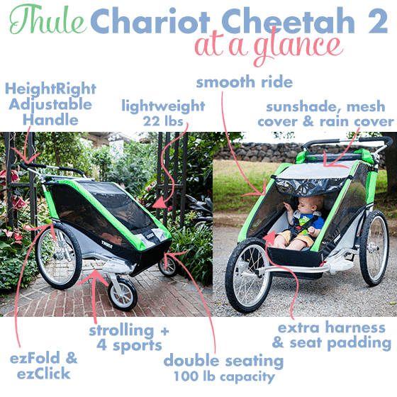 Thule chariot cheetah 2 xt hotsell